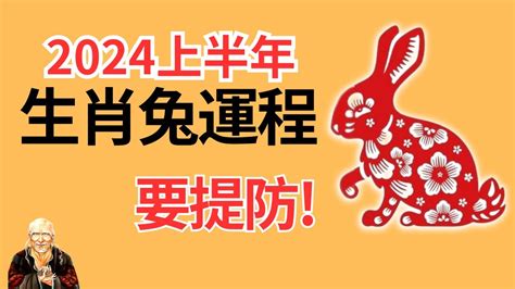 2024兔年運程1987|1987年属兔人2024年运势及运程详解 87年出生37岁生。